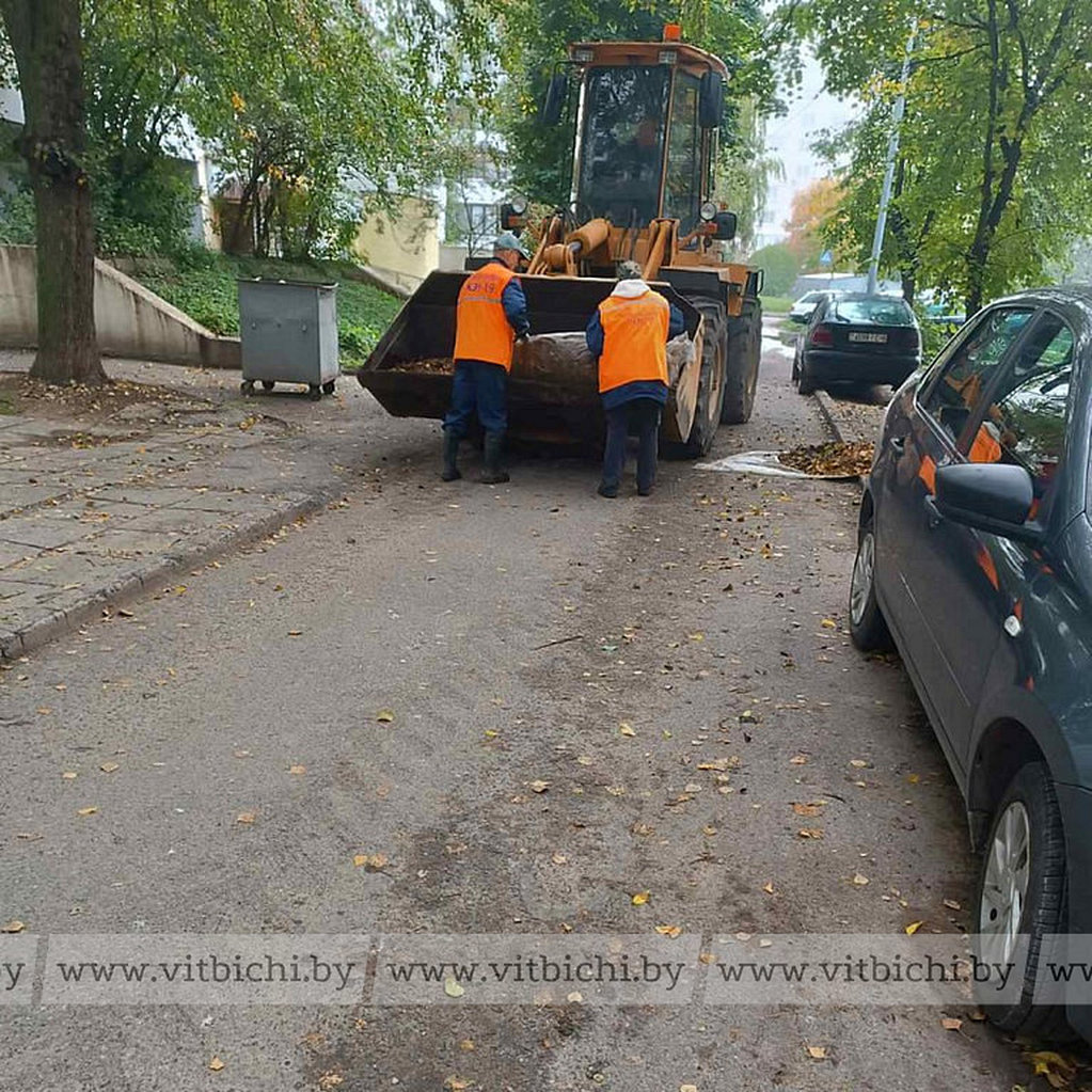 «ЖРЭТ г. Витебска» активизирует уборку опавшей листвы в жилых кварталах